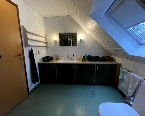 Et sidste kig på det gamle badeværelse før jeg splitter det ad